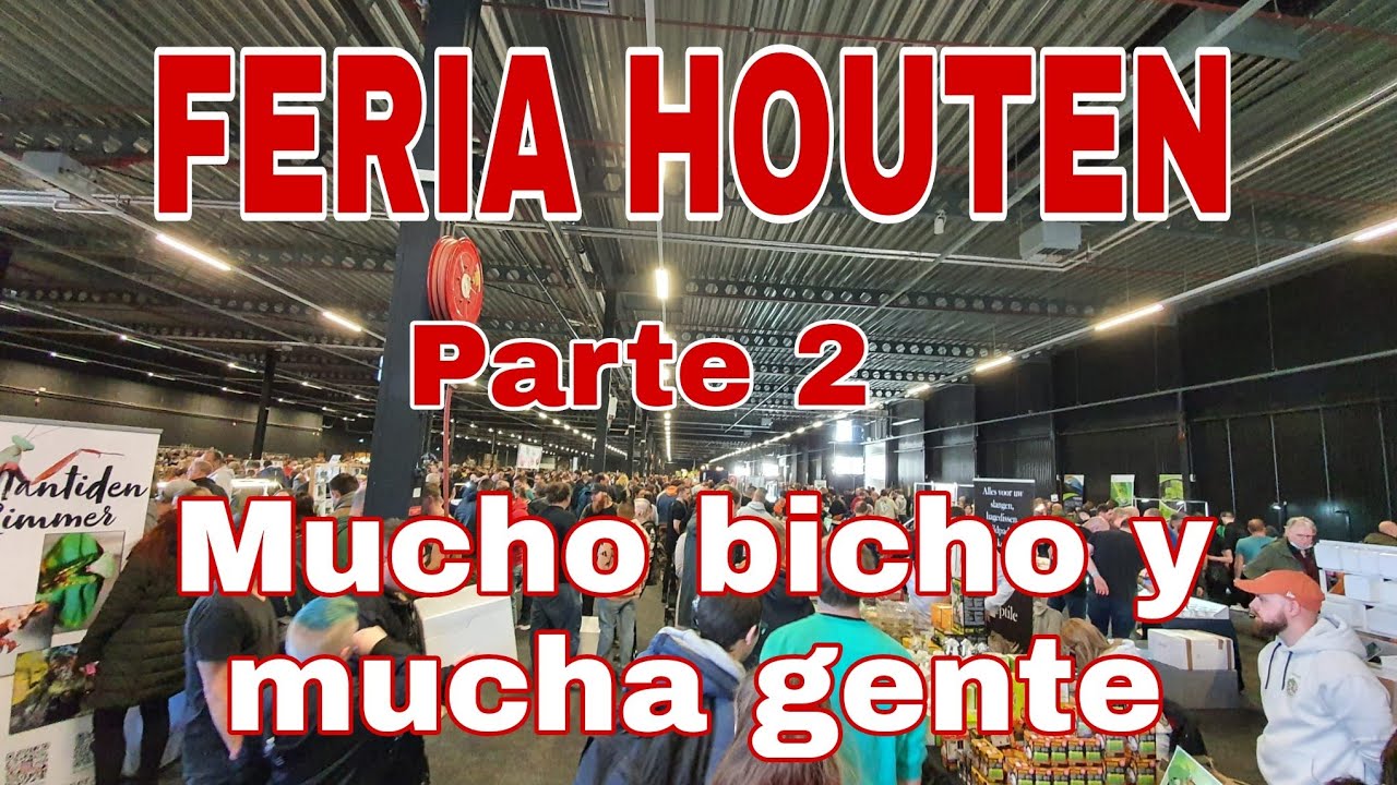 FERIA DE HOUTEN. parte 2
