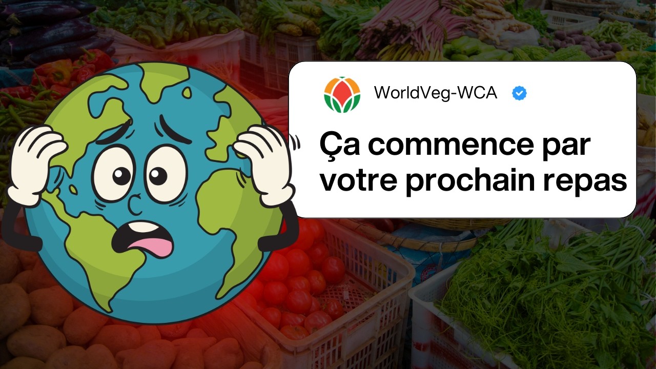 LE POUVOIR CACHE DES LEGUMES : BIEN PLUS QUE DES VITAMINES !