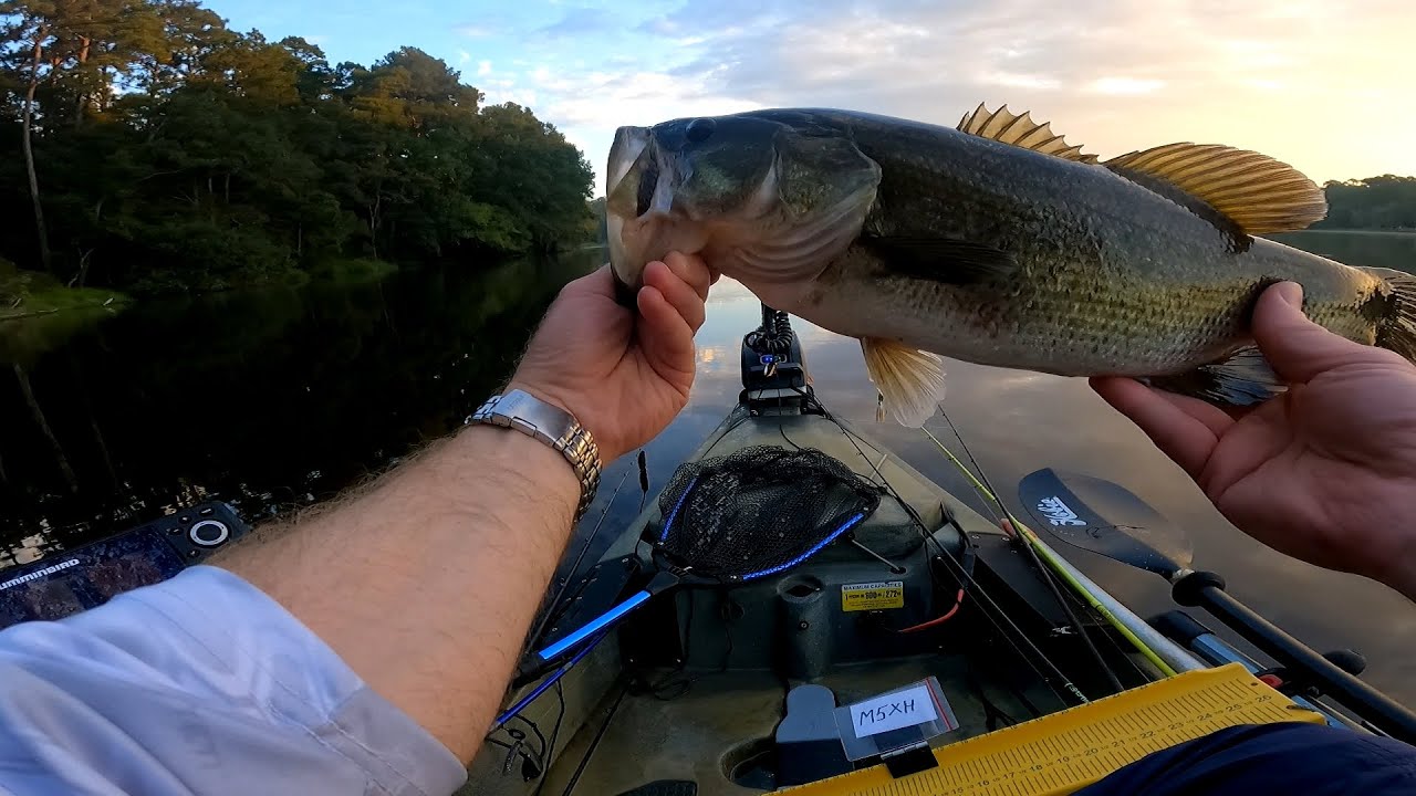 Flipping Bite is Fire 🔥 Lake Raven Bass Fishing
