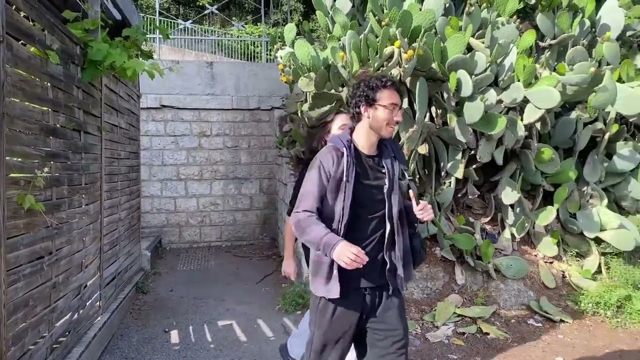 désoler.mp4