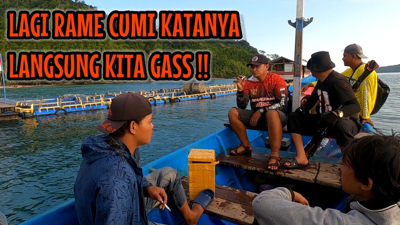 DAPAT INFO DI RUMAH APUNG LAGI RAME CUMI CUMI ‼️ LANGSUNG KITA GASS