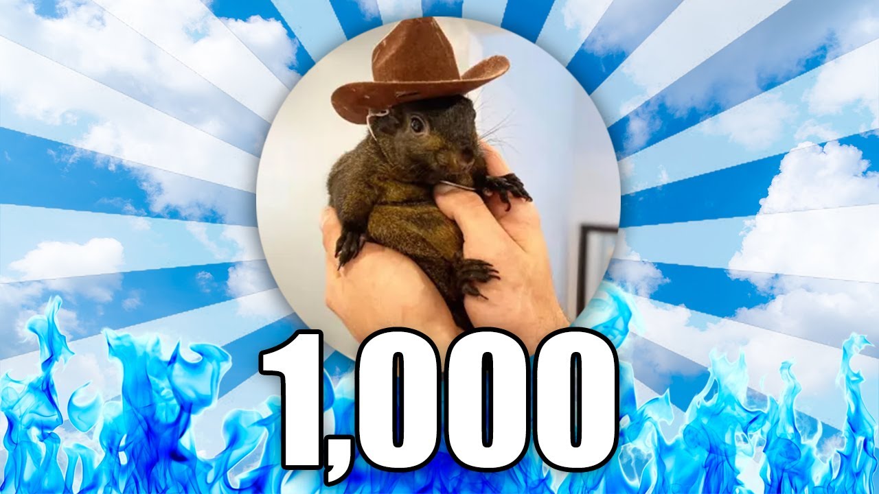 What 1,000 PEANUT THE SQUIRREL Coins Will Be Worth in 2025...