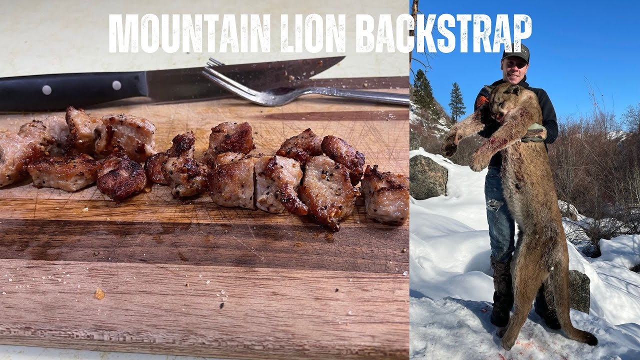 Eating Mountain Lion | BETTER THAN PORK!