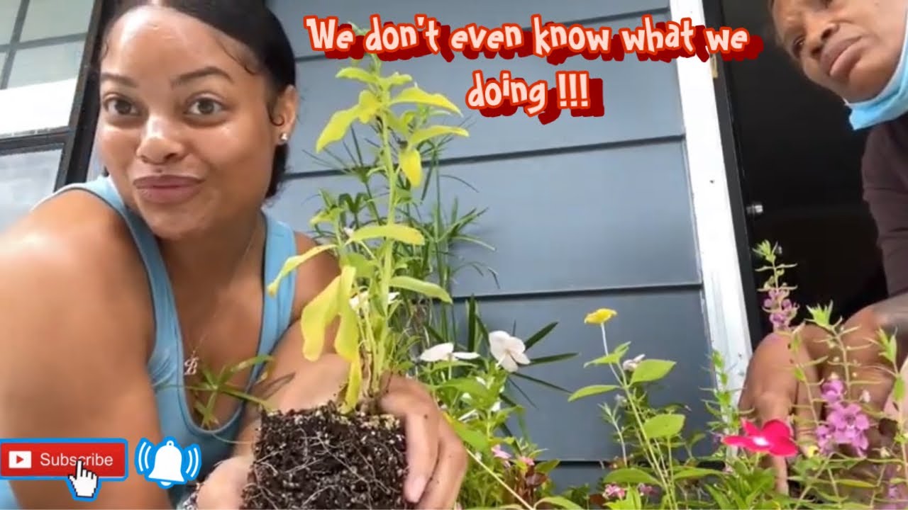 We're starting a Garden| Bootleg Garden
