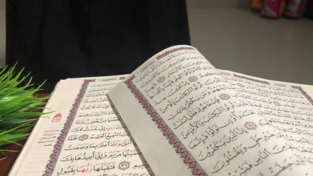 QS Ali Imran 15-32 Santriwati (2) Markaz Imam Asy Syathibi