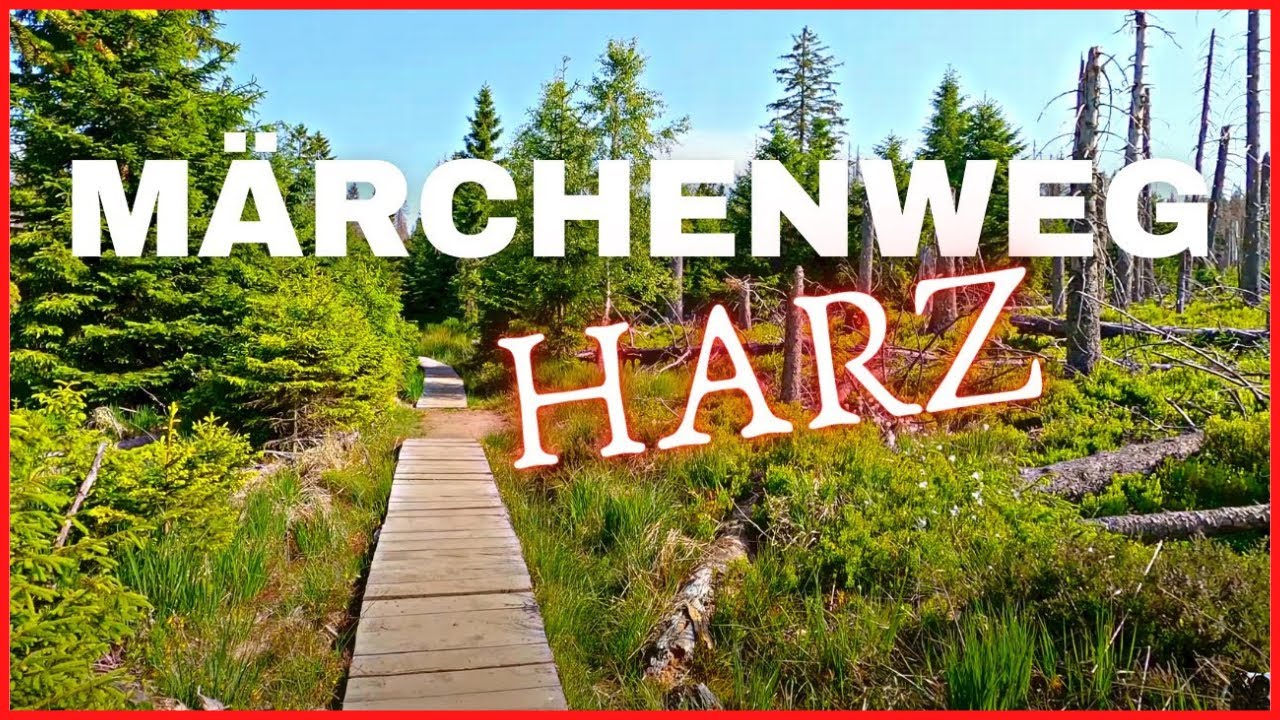 Märchenweg zum Oderteich • Torfhaus • Nationalpark Harz #harz