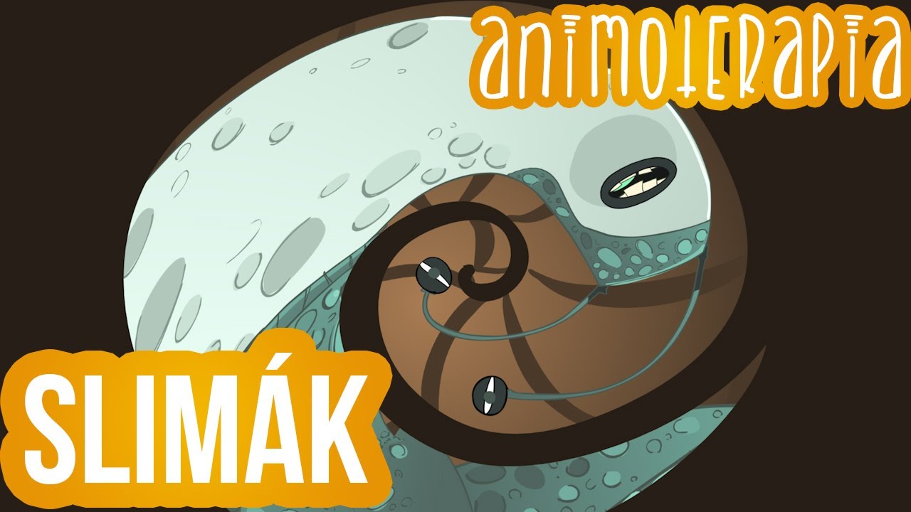 Animoterapia - 14 : Slim&aacute;k
