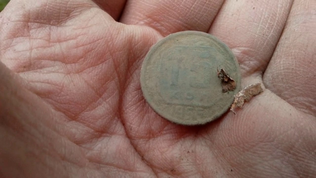 Metal detecting (Ukraine): exploration of a new wild forest
