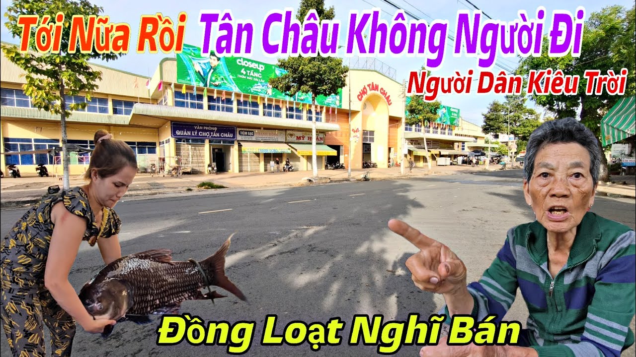 Chợ Tân Châu Vắng Người Đến Kỳ Lạ Ế Thê Thảm Không Ai Đi - Cô Gái Bắt Cá Hô Khủng Nặng 25kg