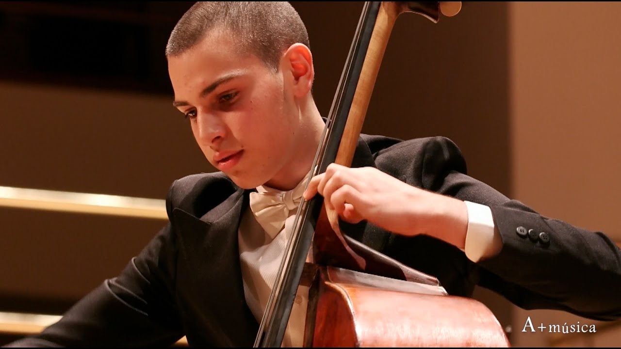A+música.com: K.D. Dittersdorf 
