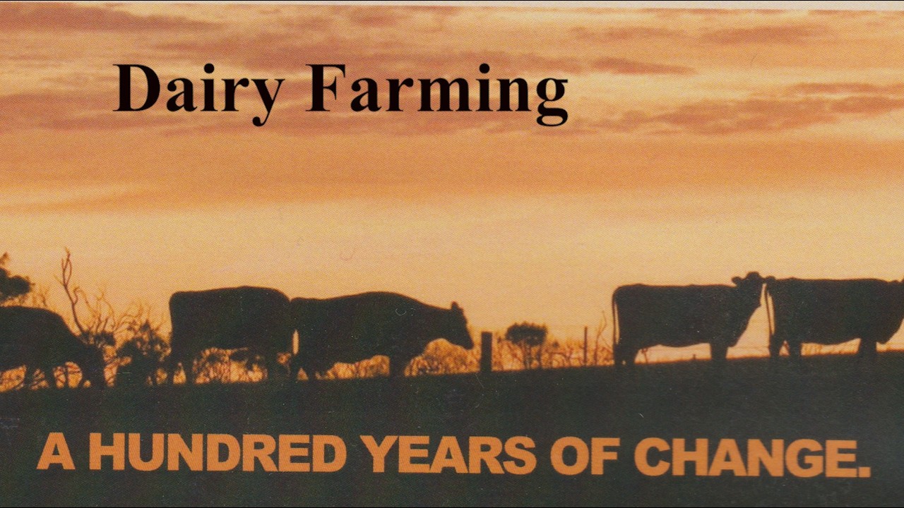 Dairy Farming - A Hundred Years Of Change