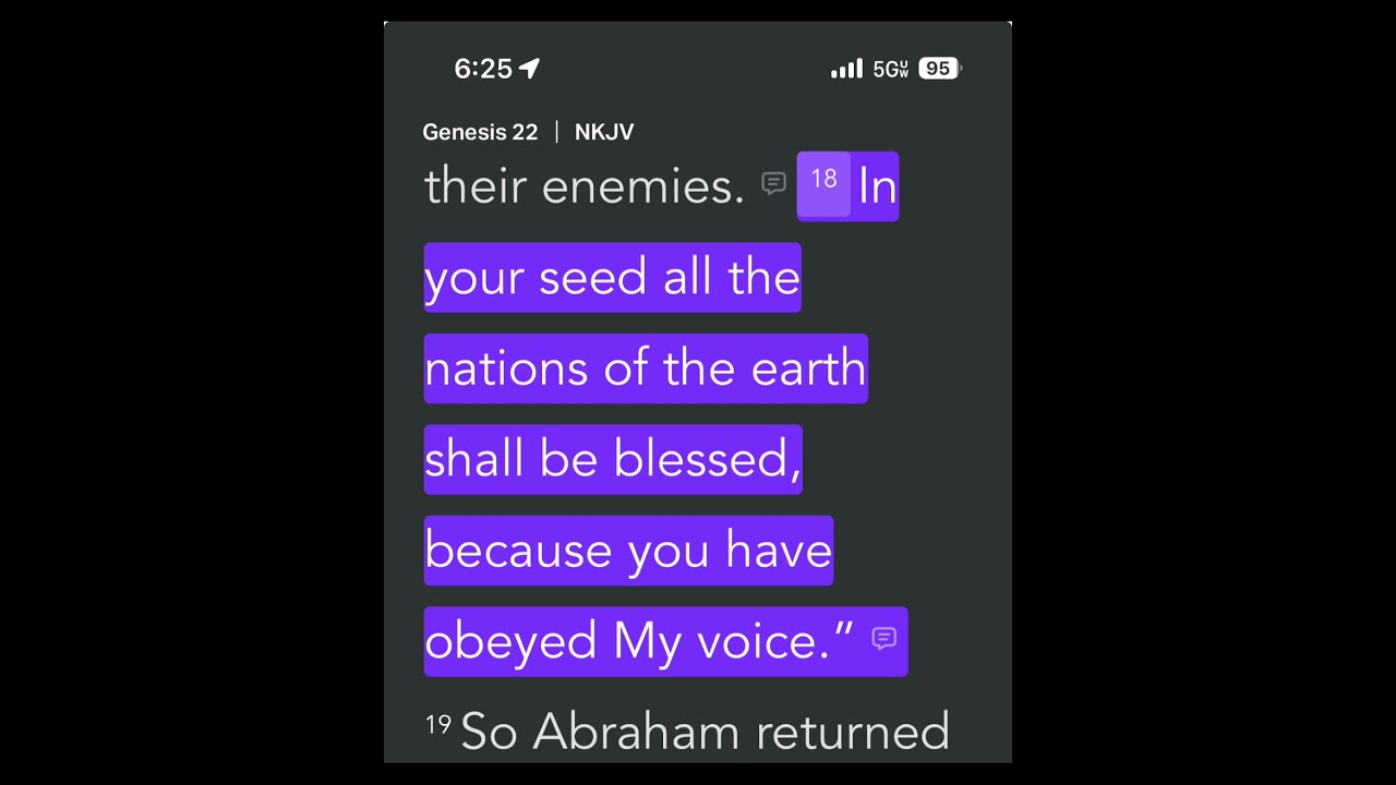 In your seed #god #covenant #blessing #jesus