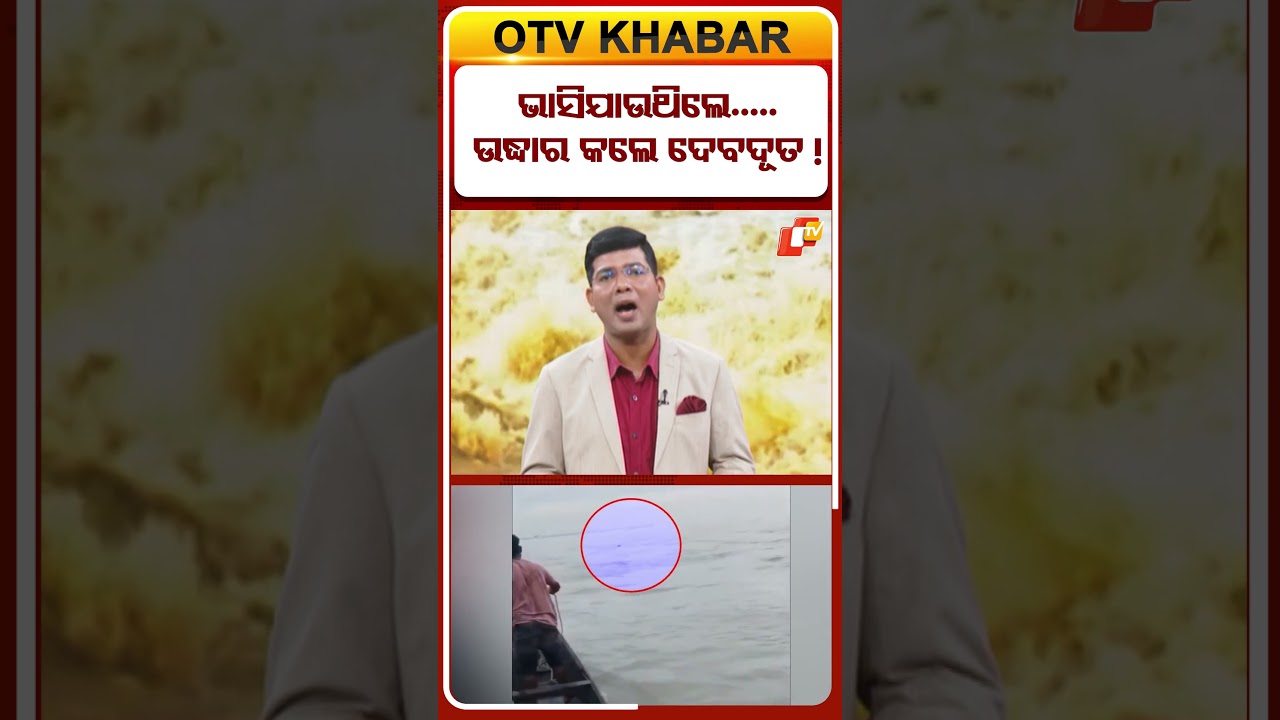 ଭାସିଯାଉଥିଲେ...ଉଦ୍ଧାର କଲେ ଦେବଦୂତ ! #otv #otvshorts #breakingnews #river #elephant