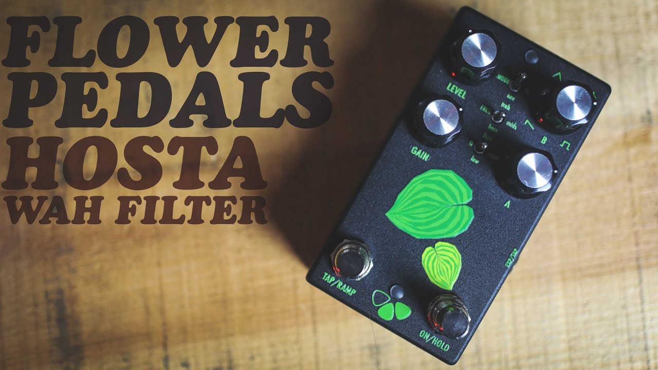 DEMOS IN THE DARK: FLOWER PEDALS - HOSTA WAH FILTER // PEDAL DEMO