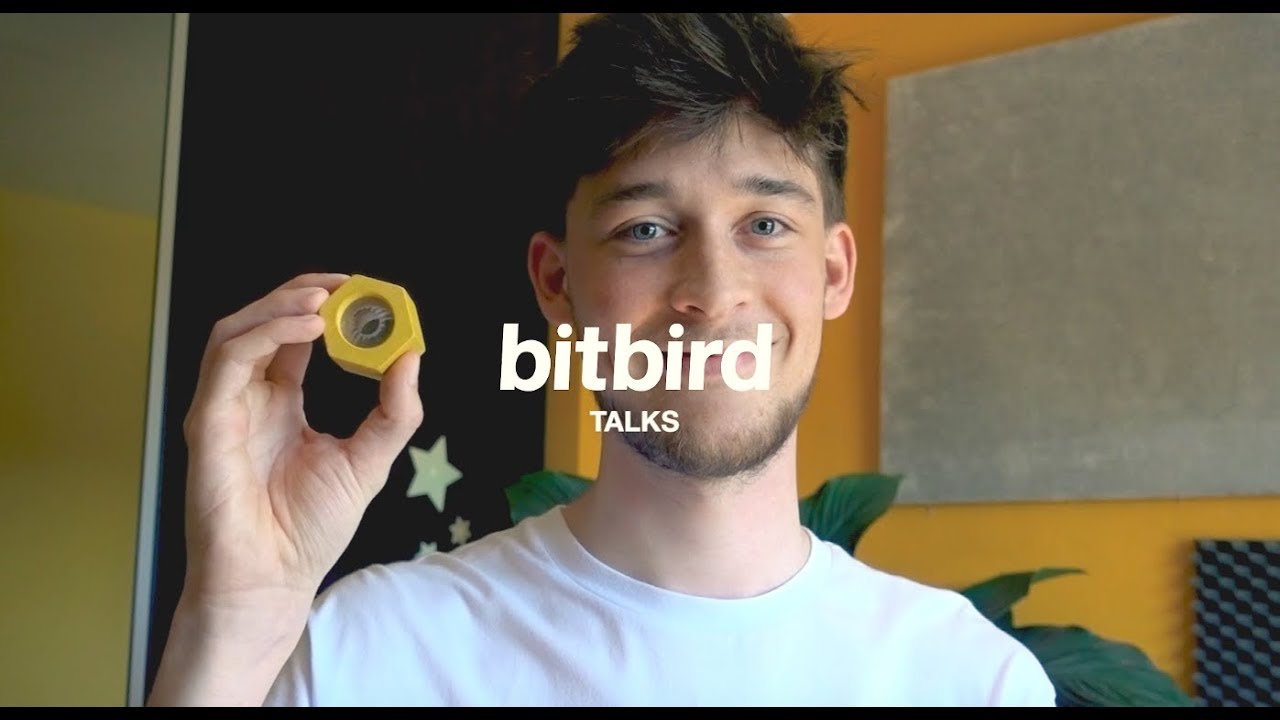 bitbird Talks - Flaws