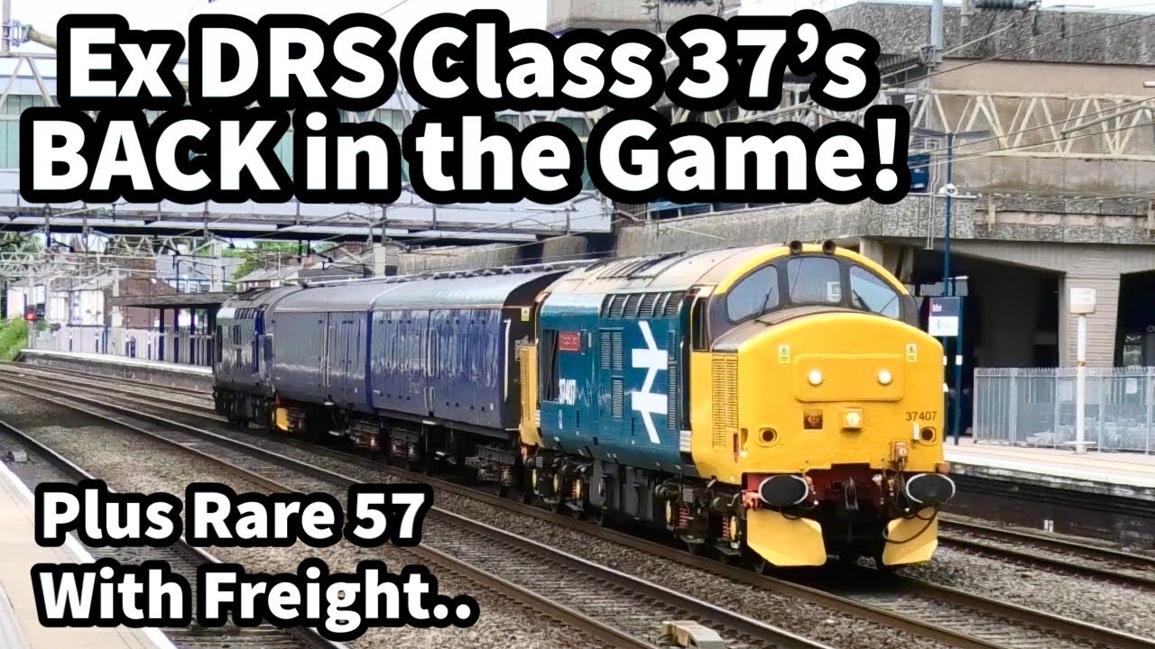 Ex DRS Class 37's, Class 88 Headed CONVOY, 805's in SERVICE Plus lots more LOCO Action! 03/06/24