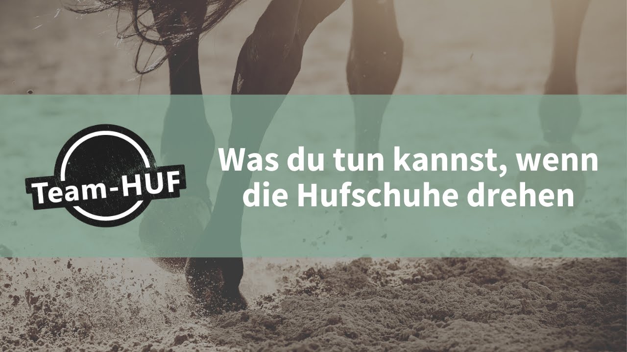 Team-HUF Hufschuhberater: Was du tun kannst, wenn die Hufschuhe drehen