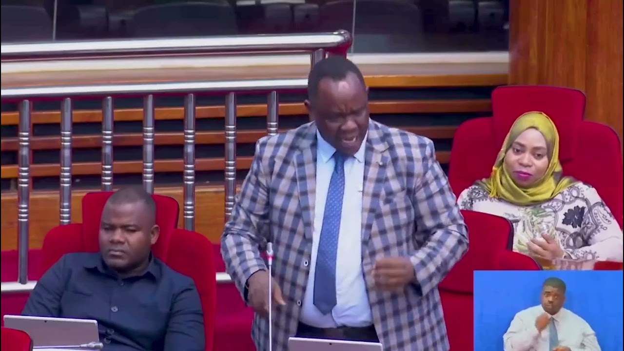 MBUNGE WA JIMBO LA MONDULI MHE.ISACK JOSEPH AMPONGEZA RAIS SAMIA BUNGENI.