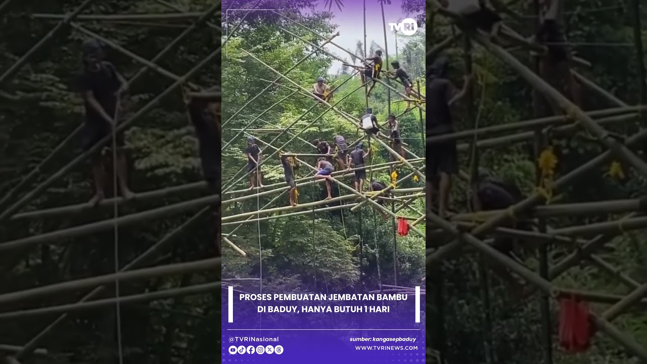 Proses Pembuatan Jembatan Bambu di Baduy, Hanya Butuh 1 Hari