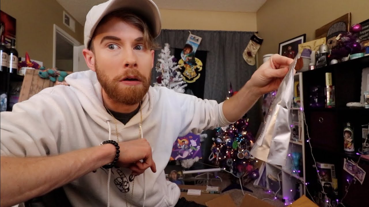 BRANDON THE FERRET PAINTING! (OPENING!)