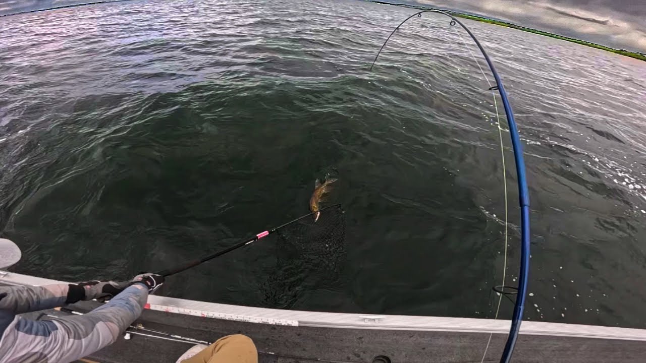 NORTHERN MINNESOTA ULTRA CLEAR WATER FISHING (25+ Pike Caught)