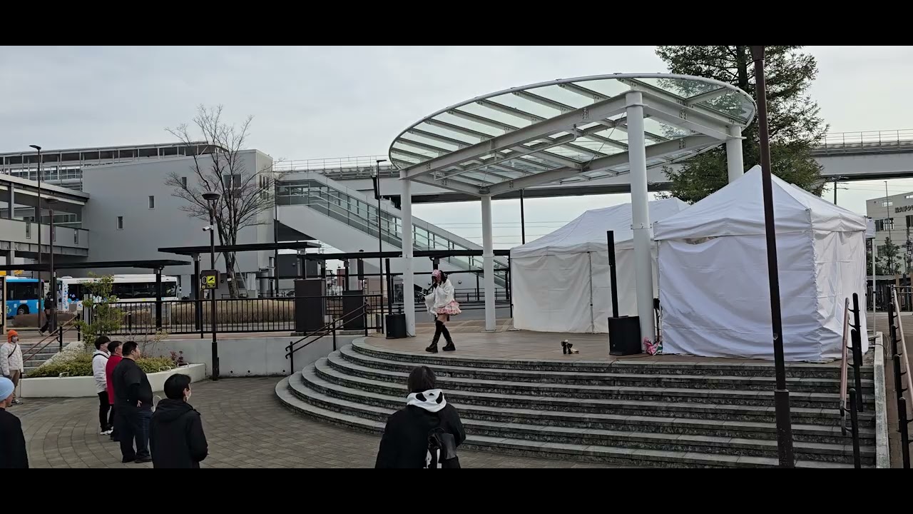 浅緋桃   DOLL'z BOXX   長久手中央2号公園 20260214