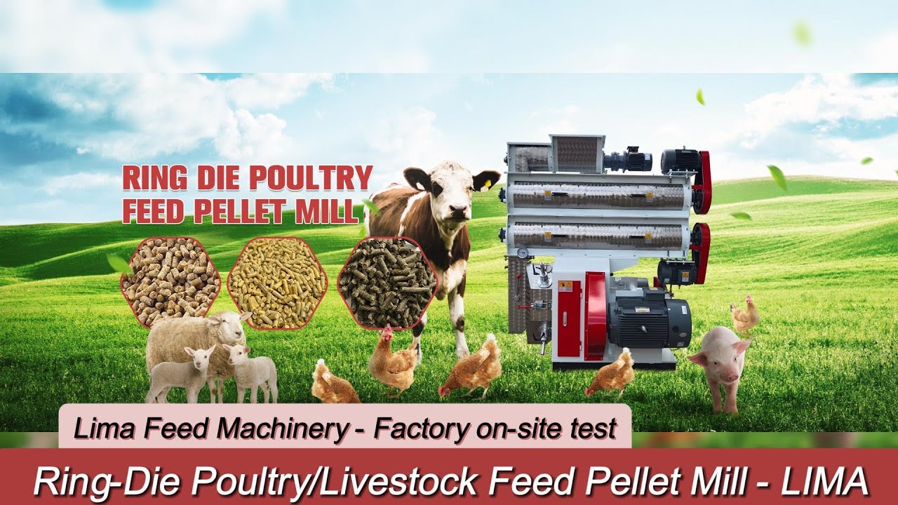 Ring-Die Poultry/Livestock Feed Pellet Mill - #poultryfeed #livestockfarming #poultryfeedmachine