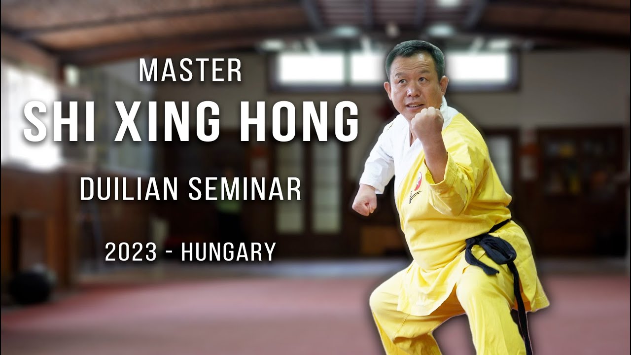Shi Xing Hong seminar - 2023, Budapest
