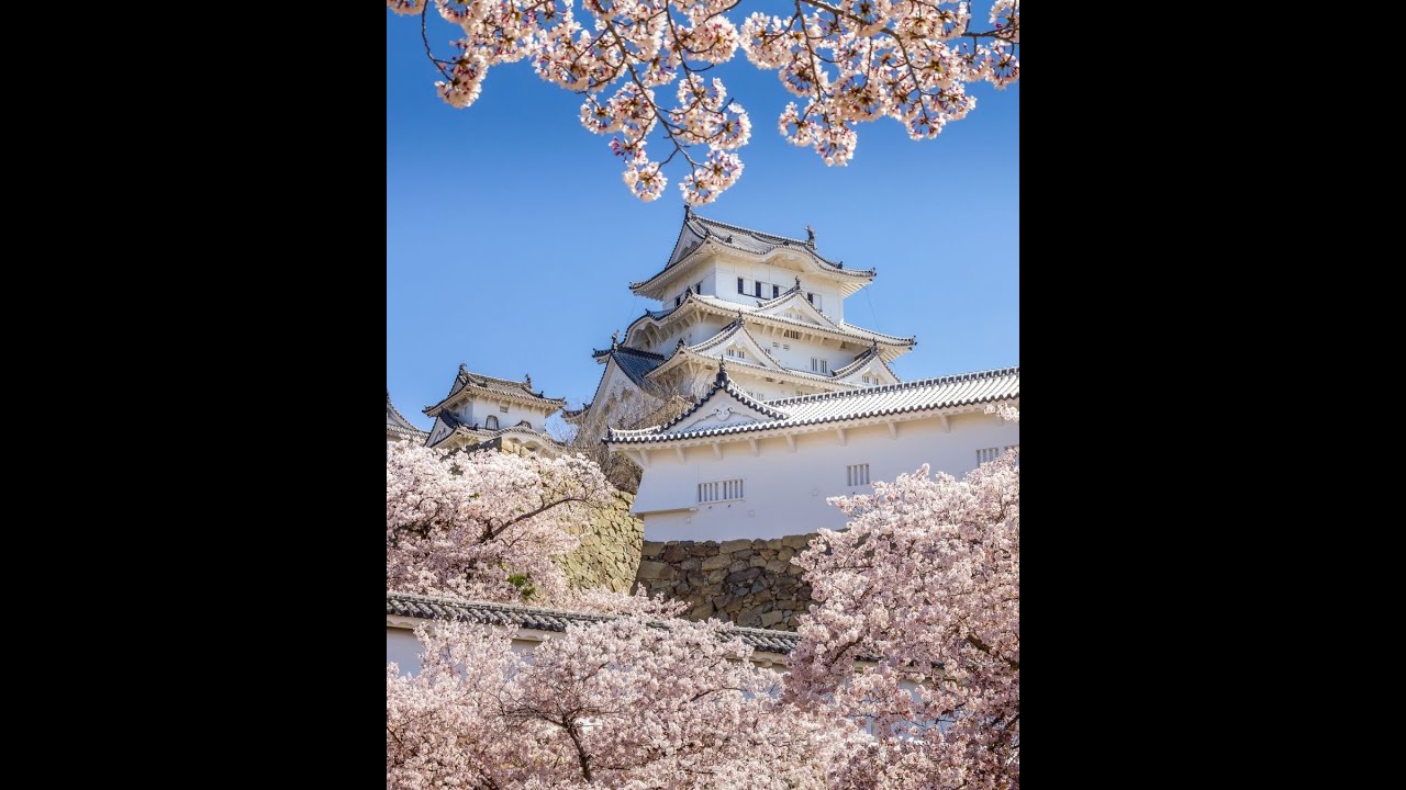 Japan Destination Guide | Wendy Wu Tours