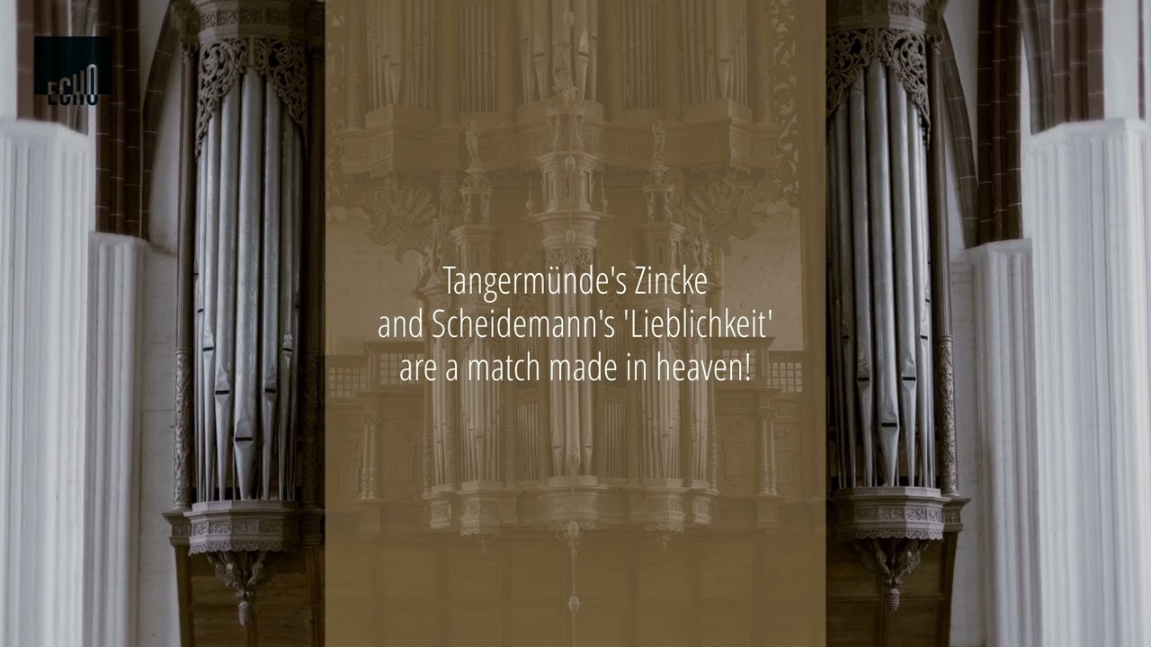 The Zincke: Tangermünde's Calling Card