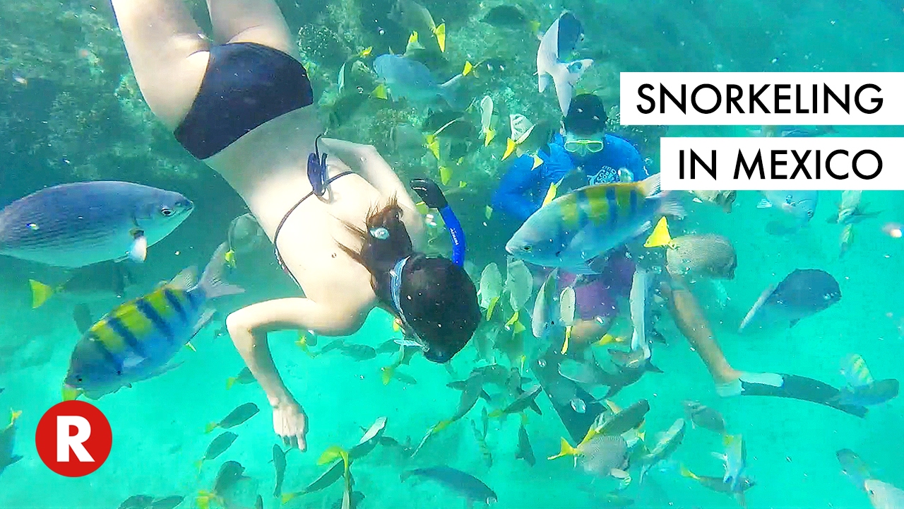 I've Never Seen So Many Fishes In My Life // Snorkeling in Cabo, Mexico