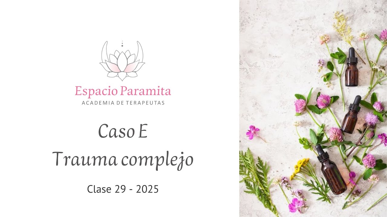 Caso E -  Trauma vincular