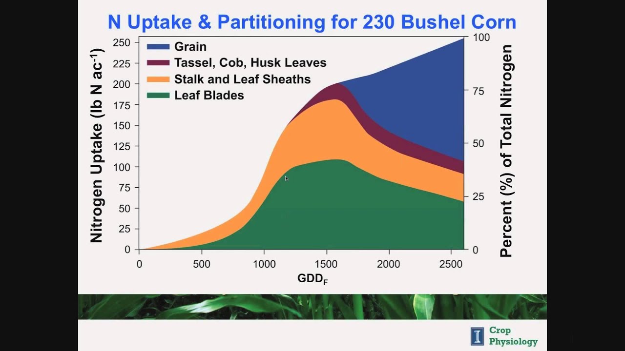 Ag Webinar: Nutrient Requirements for High Yield Corn (Featuring Dr. Fred Below)