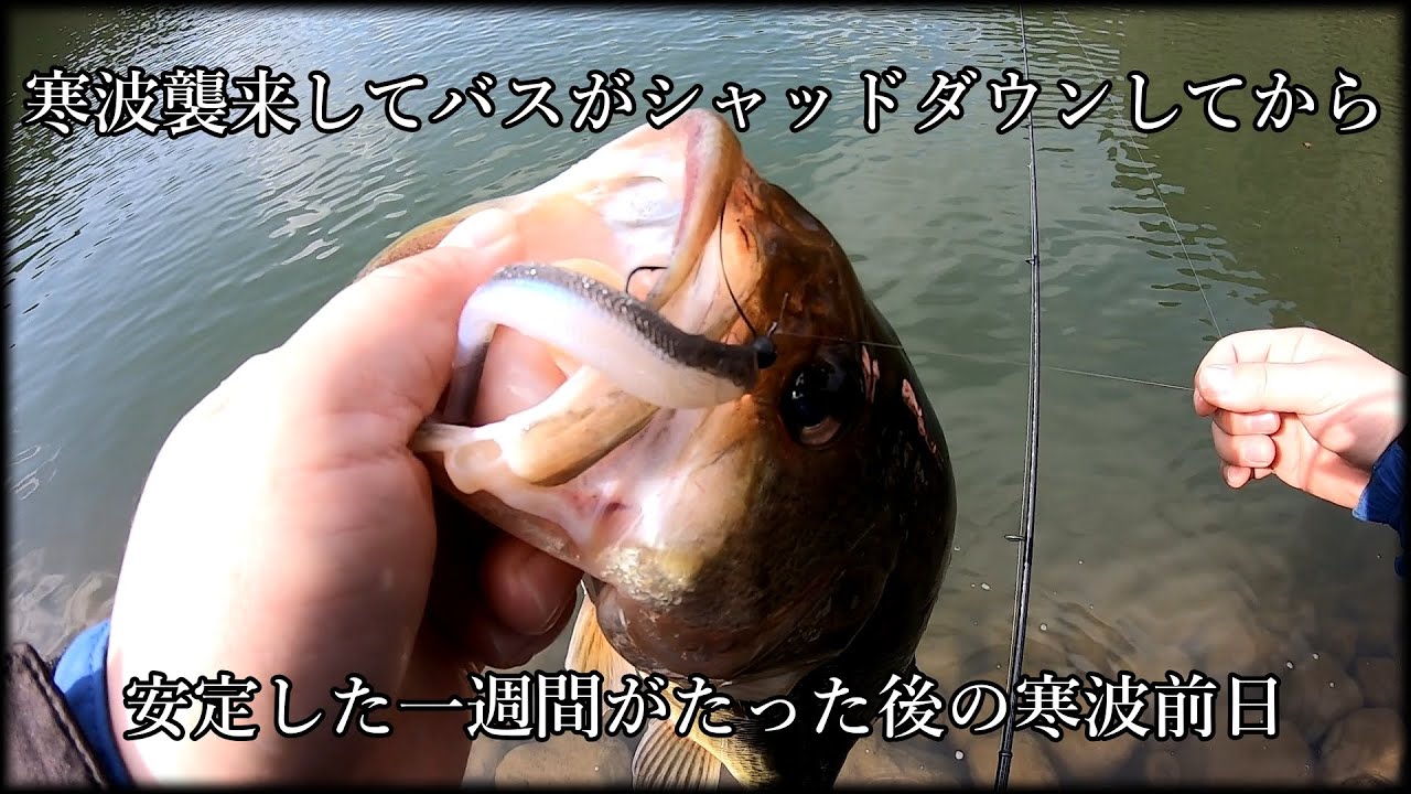 【DSミノー】3没ぐらいくらいましたこの一週間【ミドスト】