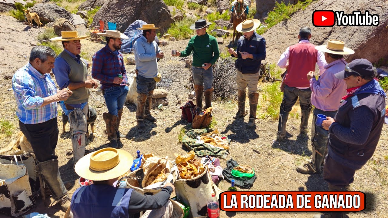 Rodeo Arrieros de Putaendo Cap&iacute;tulo 3  Rodeo de vacunos de la cordillera de Valparaiso a los Corrale