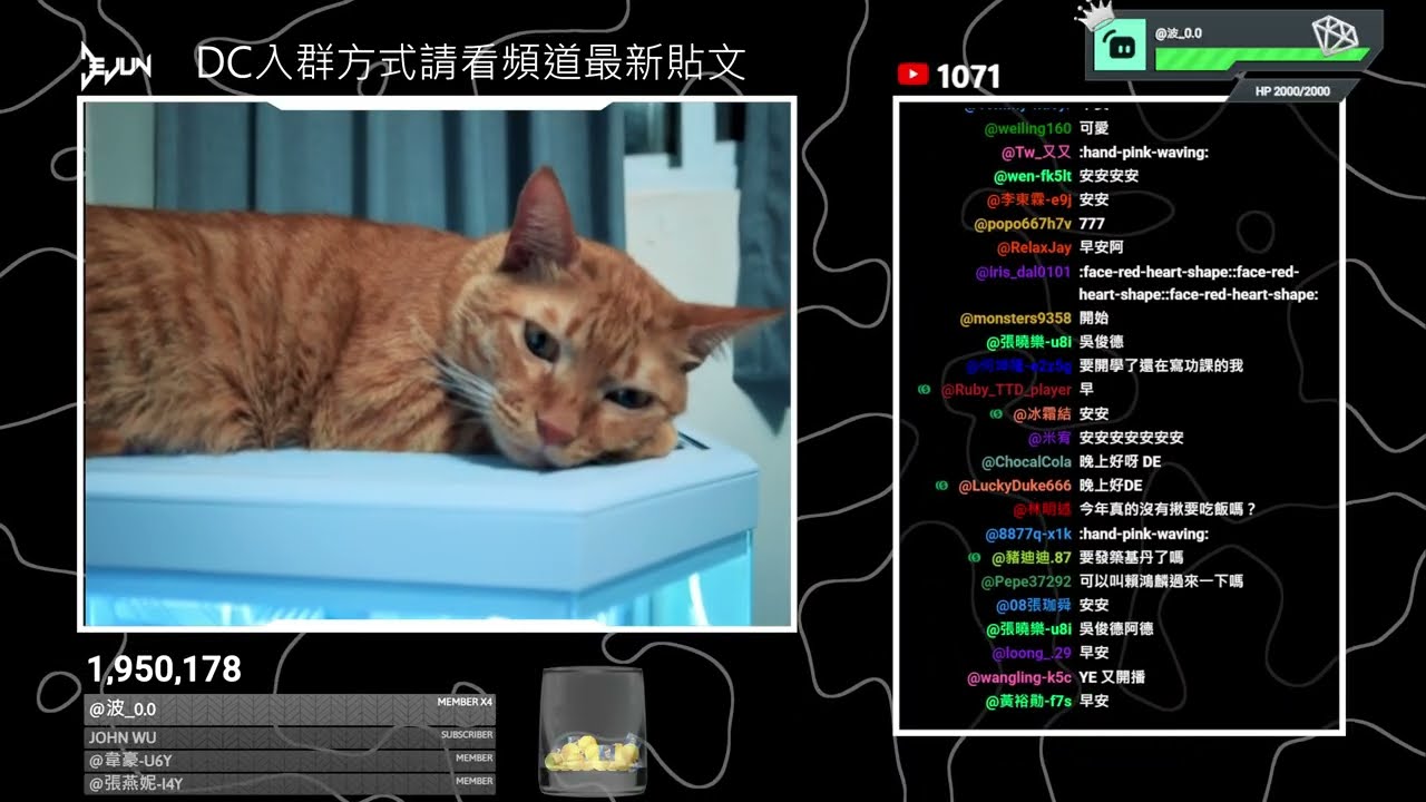 開開開開開