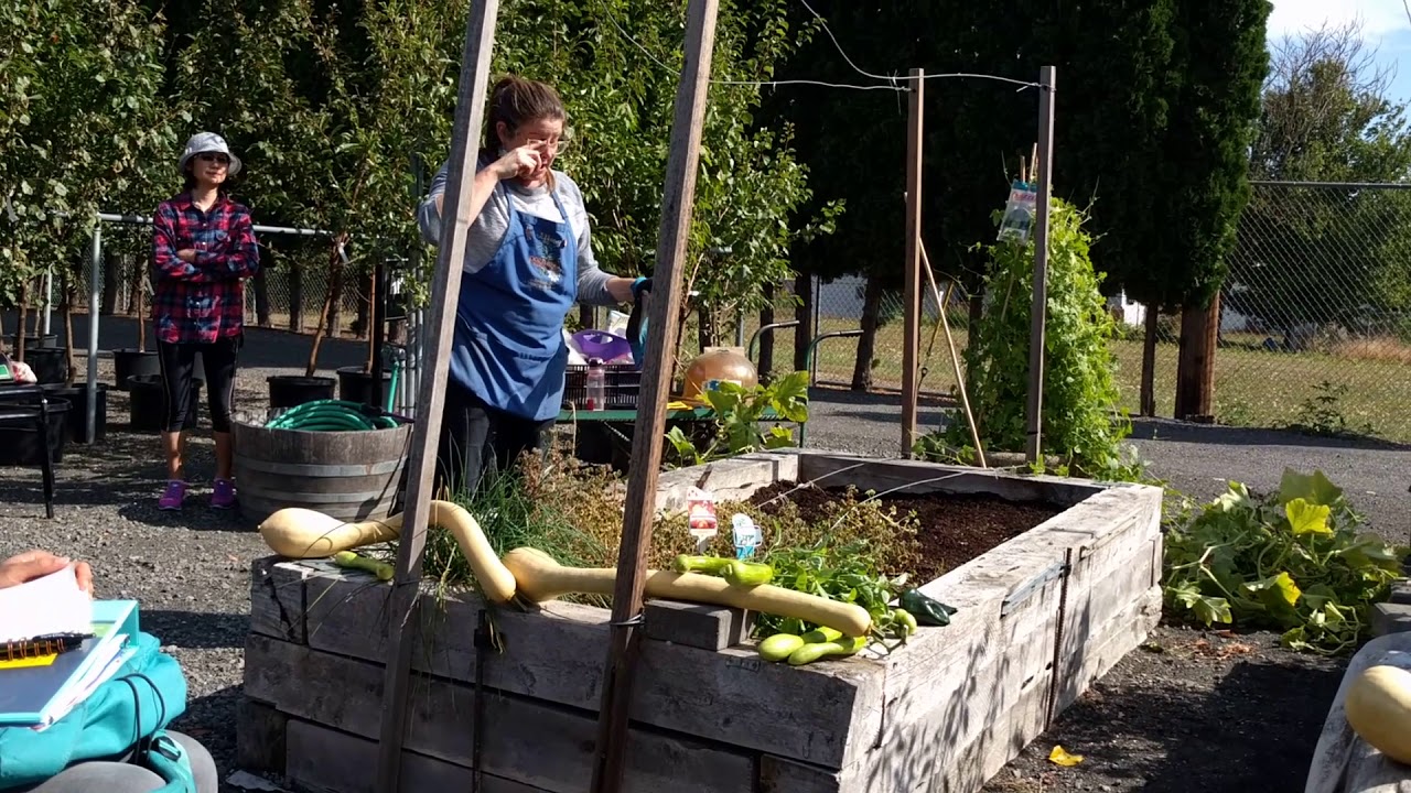 The GROW Project Presents: Hands On Raised Bed Vegetable Gardening September 2017 (Part 2 of 2)