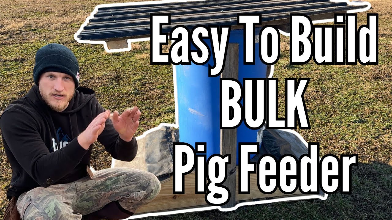 DIY- Gravity Fed Pig Feeder
