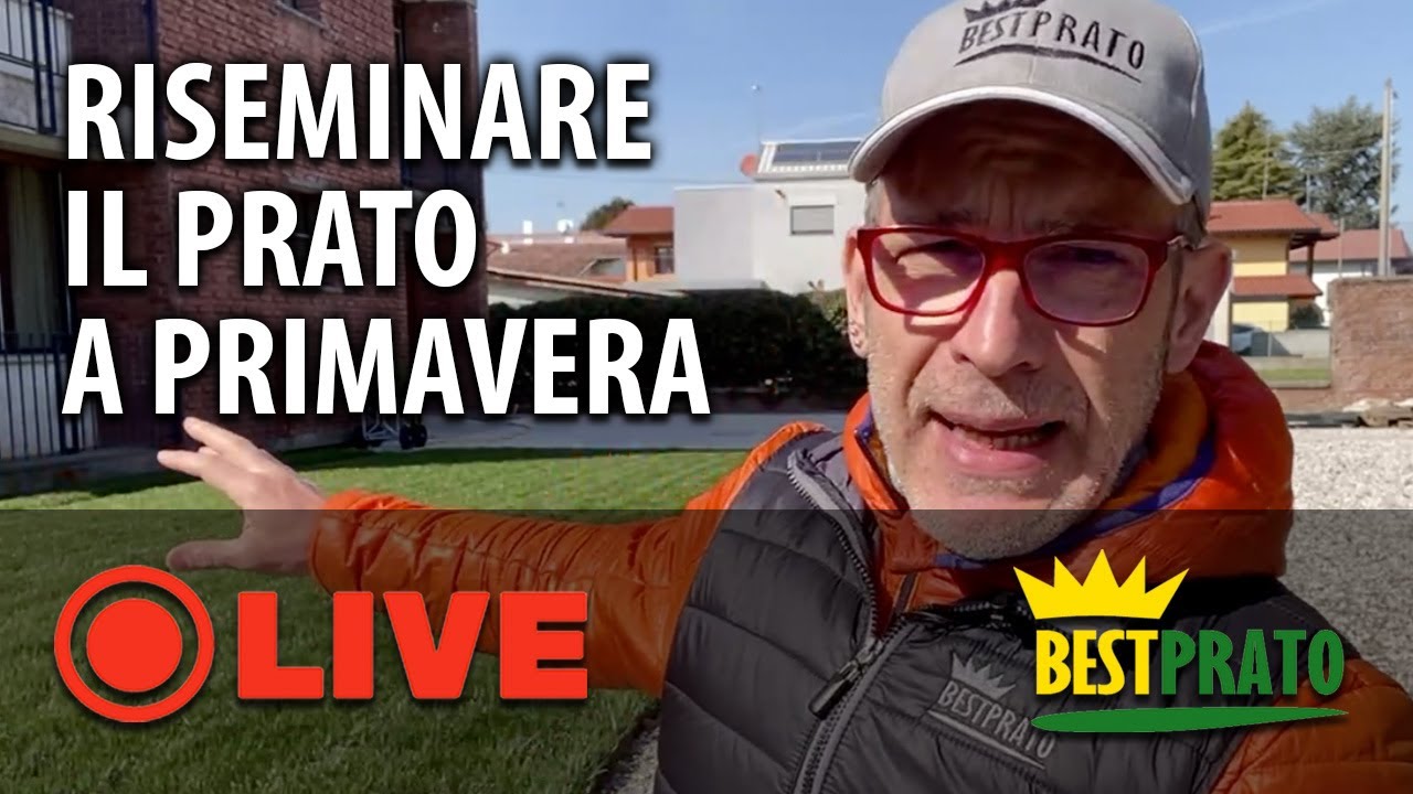 COME E PERCHÈ RISEMINARE SEMPRE IL PRATO A PRIMAVERA