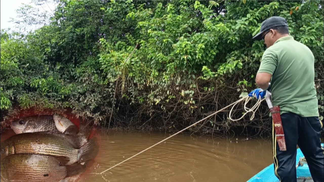 HASIL BURUAN DI ANAK SUNGAI 🐟🐟🐟