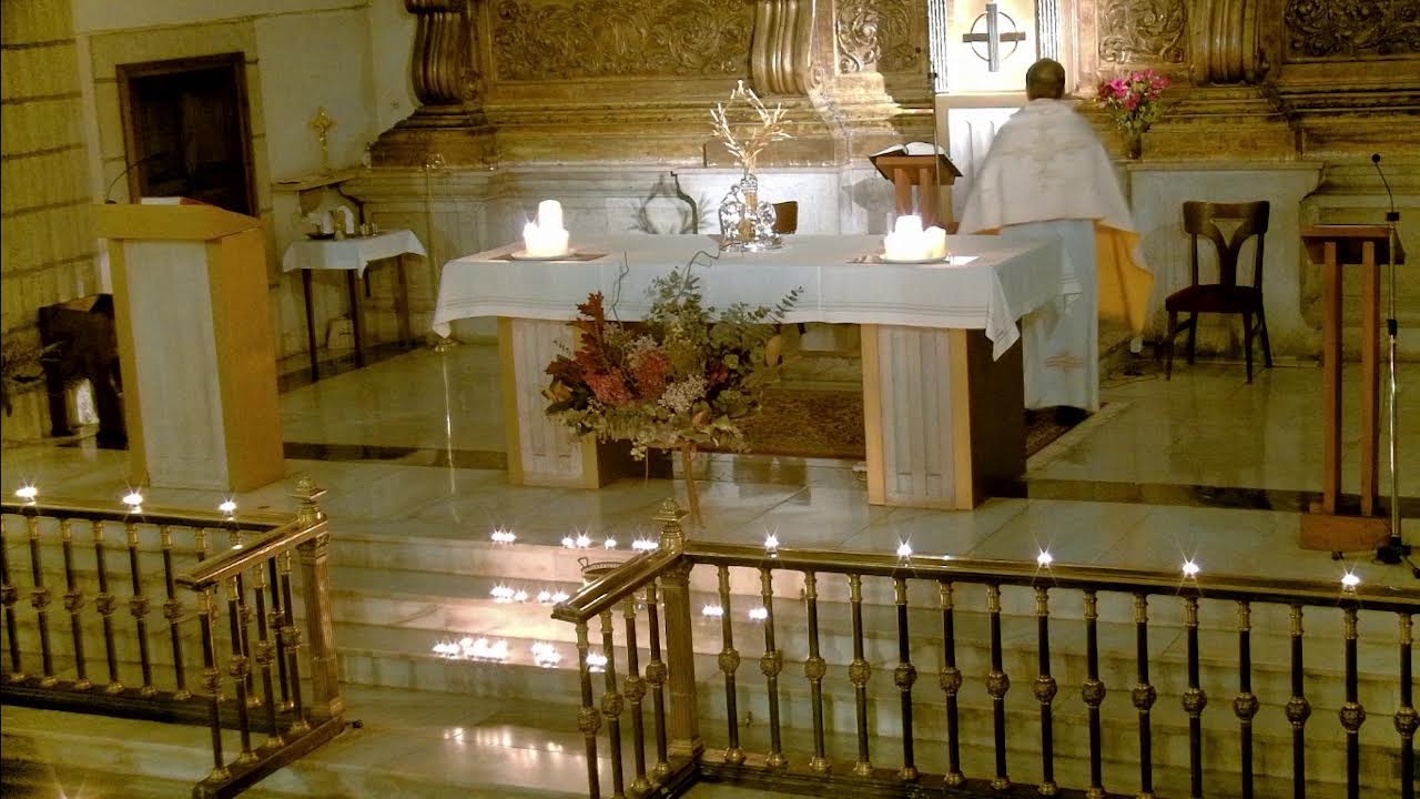 ADORAR - 12 de febrero de 2026