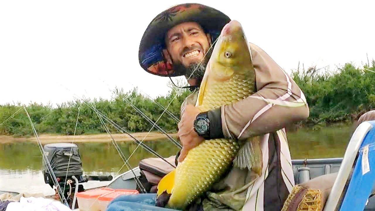 💥Inacreditável! Veja Como Foi Capturar Essa Piapara Gigante | Pescaria 
