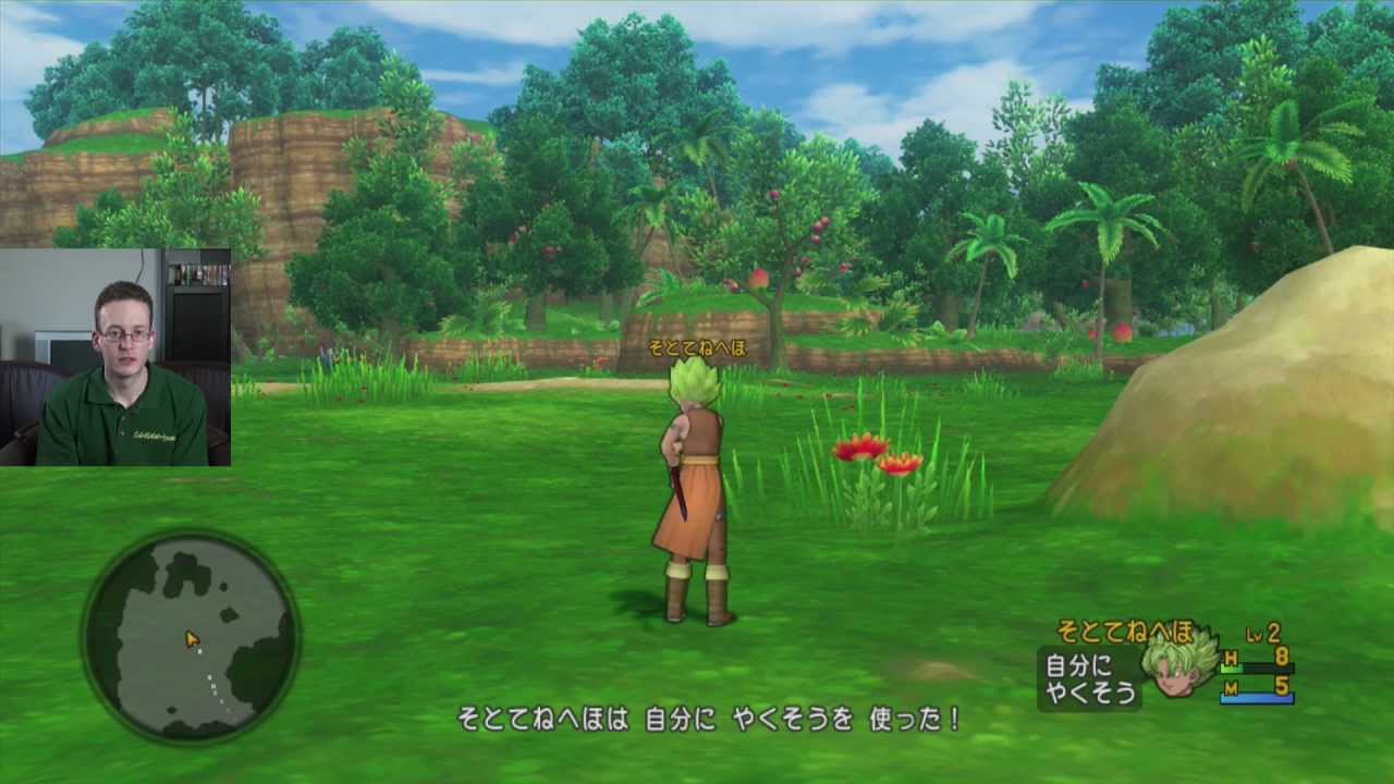 Gameplay: Dragon Quest X Beta (WiiU)