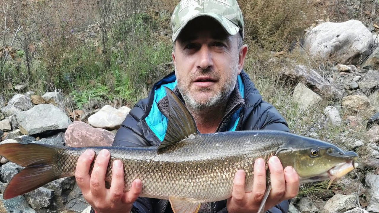 First test on DAIWA AIR Z 60