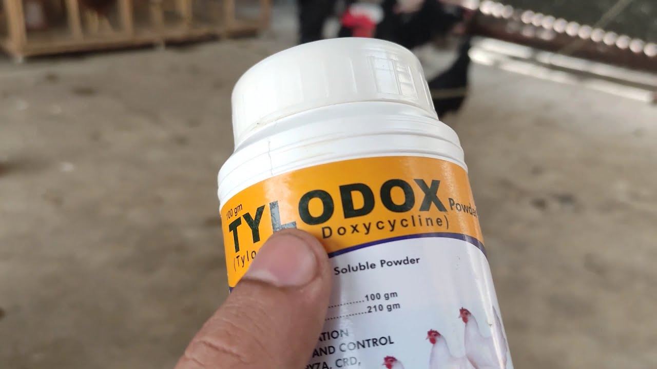TYLODOX (Tylosin & Doxycycline)