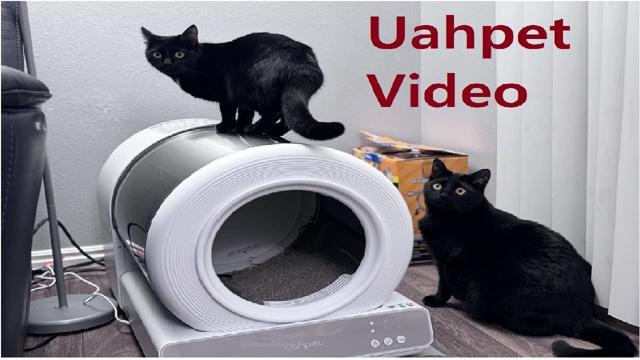 Uahpet Stainless Steel Self-Cleaning Cat Litter Box ! Full Review