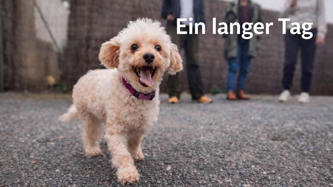 Mia geht nach Hause