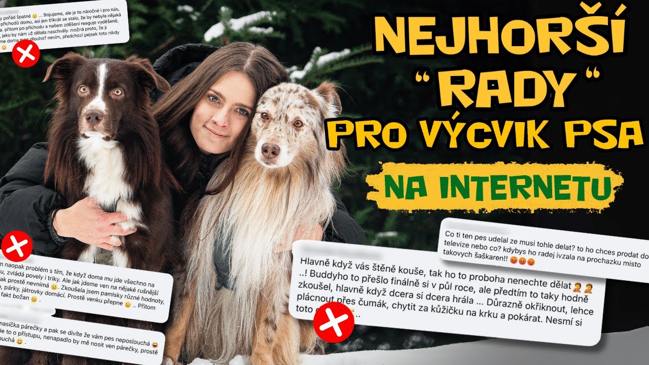 NEJHORŠÍ RADY PRO VÝCVIK PSA Z INTERNETU 😬 aneb jak si zkazit psa