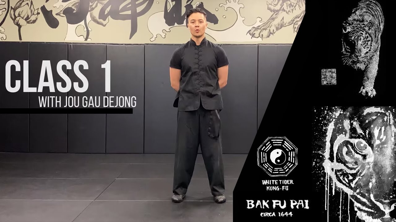 Bak Fu Pai Intro Class with Jou Gau Albert de Jong