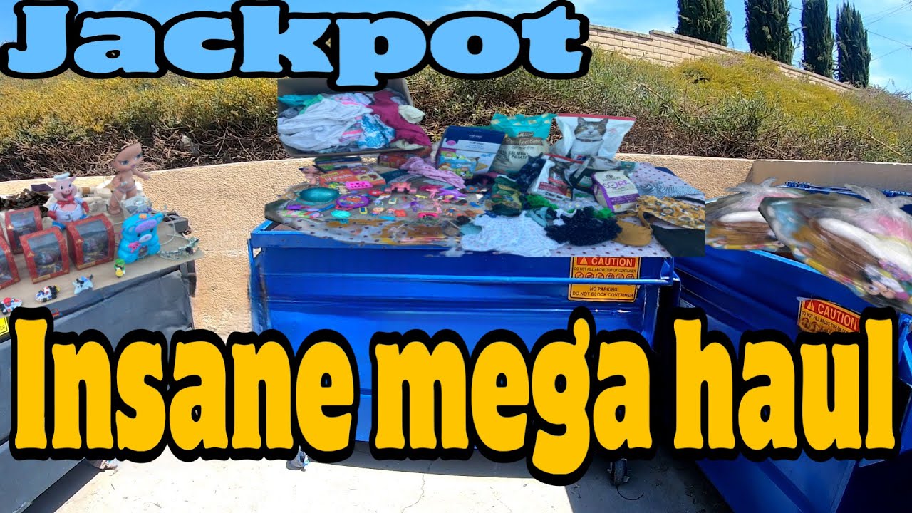 YOU WON'T BELIEVE THIS DUMPSTER DIVING MEGA HAUL. THIS WAS INSANE JACKPOT. #dumpsterdiving